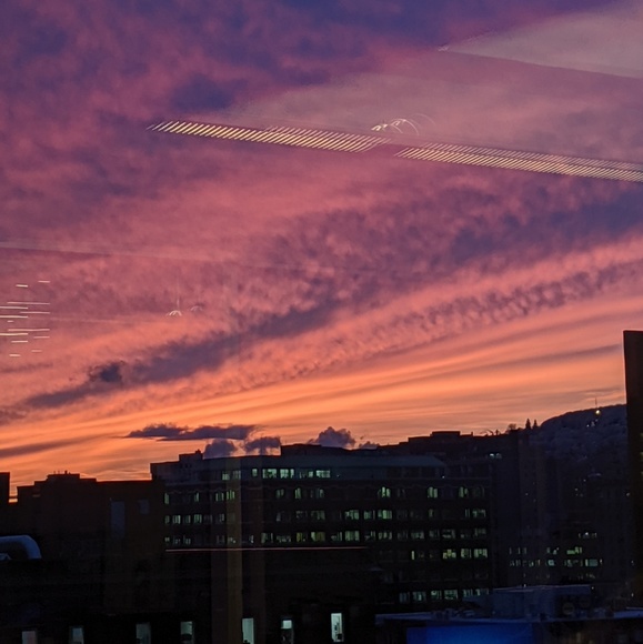 Meet your Posher, Fanny - Picture 1 of 1